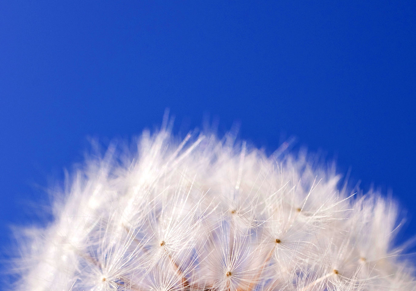 Lucid - communications made clear